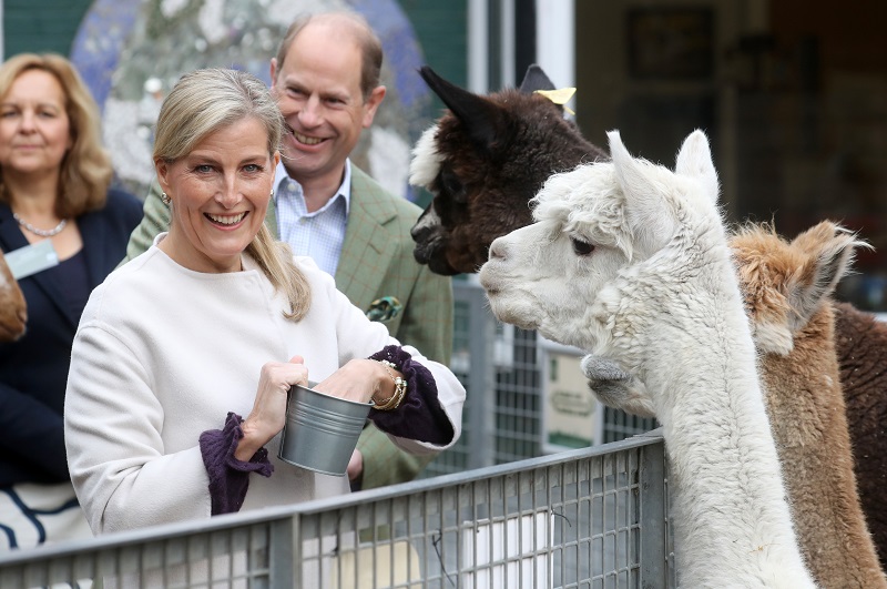 So, Just Who Is Sophie Countess of Wessex?